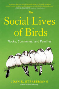 The Social Lives of Birds cover art